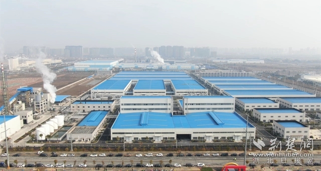 園區(qū)企業(yè)。記者 魯偉龍 攝.webp.jpg