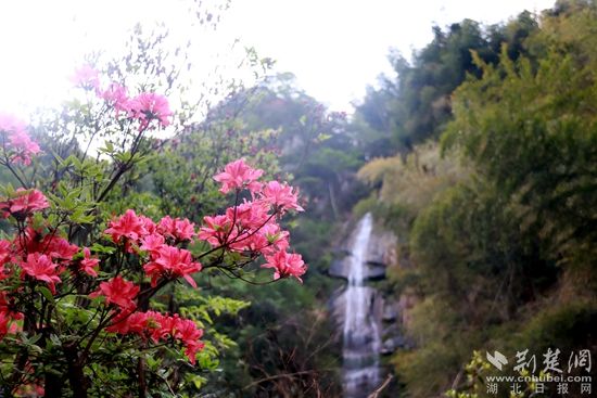黃龍山頂，風景如畫 黃錚 攝_副本.jpg.jpg